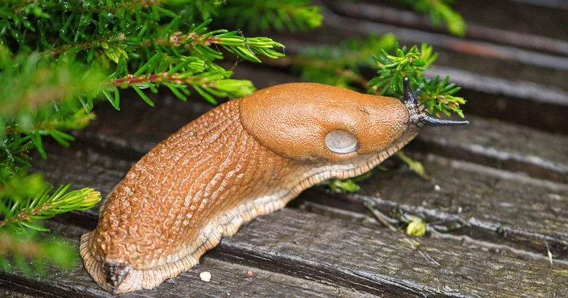 Construire un slug qui tient debout : les règles chiffrées